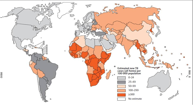 Celosvětový výskyt tuberkulózy